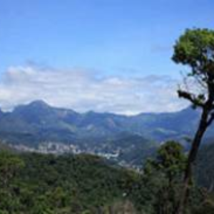 Parque Estadual dos Três Picos inaugura etapa da trilha Caminhos da Serra do Mar – 2015