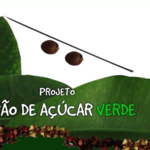 Mutirão de plantio no Pão de Açúcar – 10.03