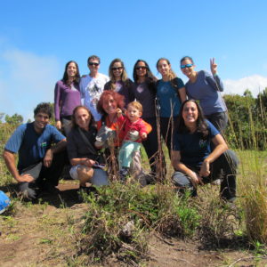 Pedra do Retiro – Petrópolis por Lívia Cardoso