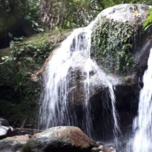 Domingo de cachoeiras no Parque Estadual da Pedra Branca por Miriam Gerber – 12/01/20