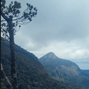 Parque Nacional da Tijuca – 1ª caminhada do ano – 02.01.2024
